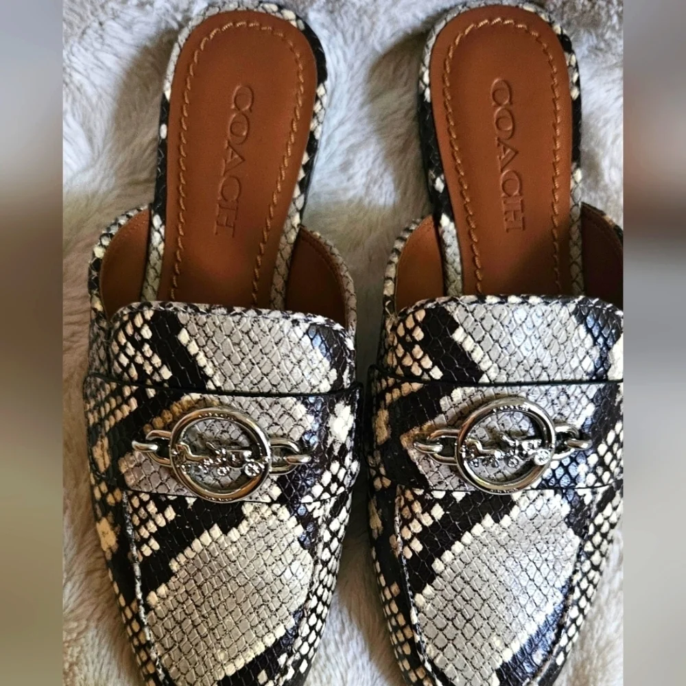 Coach Scotty Slide Mule Snake Print Silver Logo Women's Size 6 Shoes
